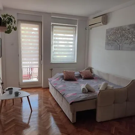 アパート Kostastan - Sa Parkingom ノヴィ・サド