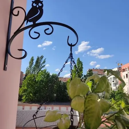 Kostastan - Sa Parkingom * ノヴィ・サド